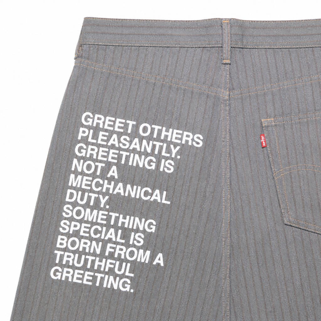 Junya Watanabe x Levis Pinstripe Poem Jeans