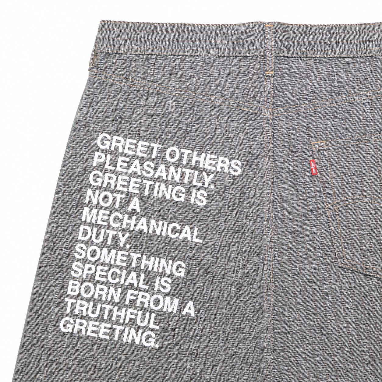 Junya Watanabe x Levis Pinstripe Poem Jeans