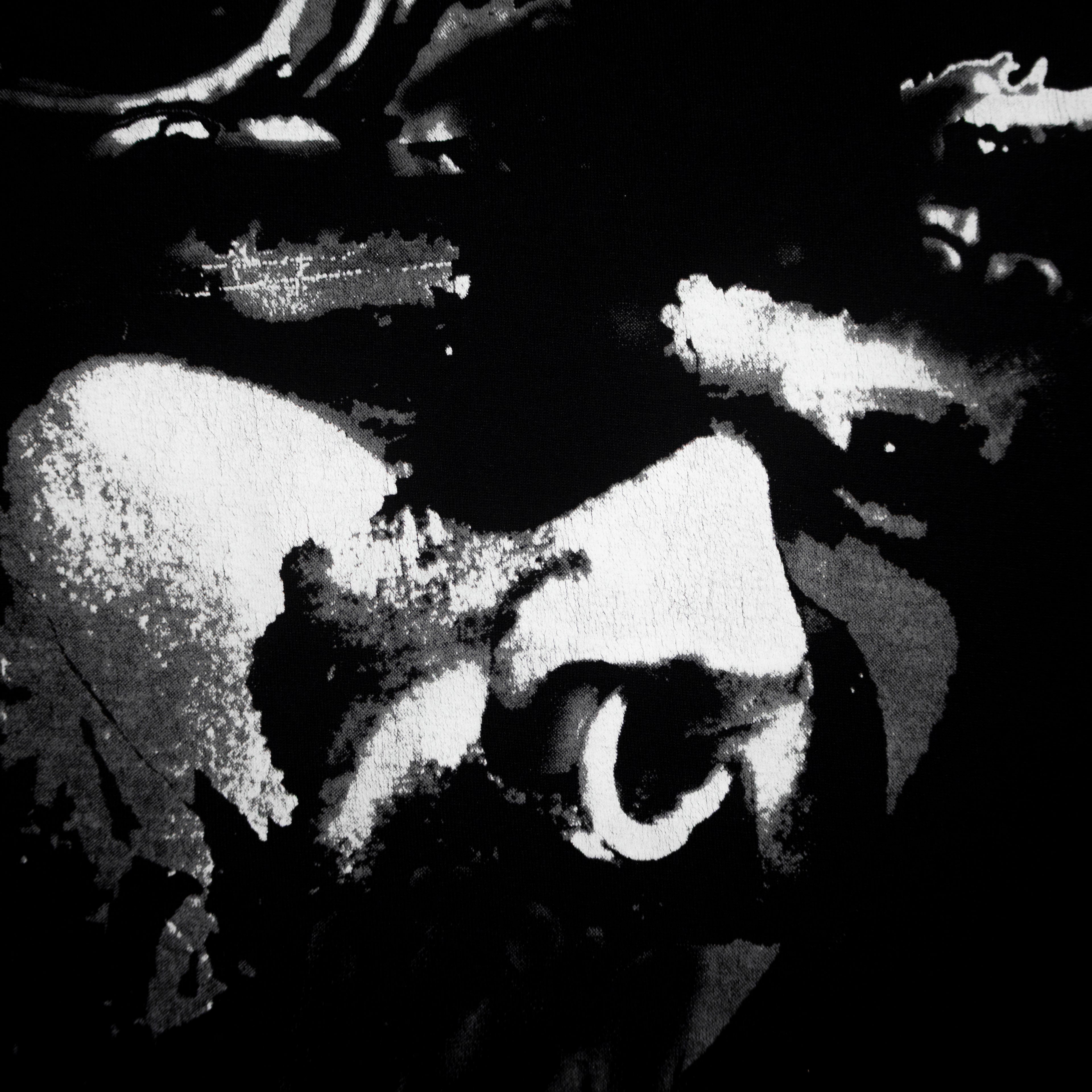 Givenchy Riccardo Tisci Bull Tee ★